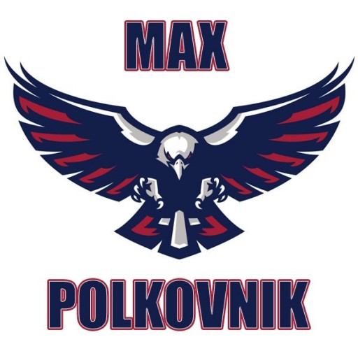 MAX-POLKOVNIK gravatar