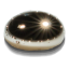 Mercury gravatar