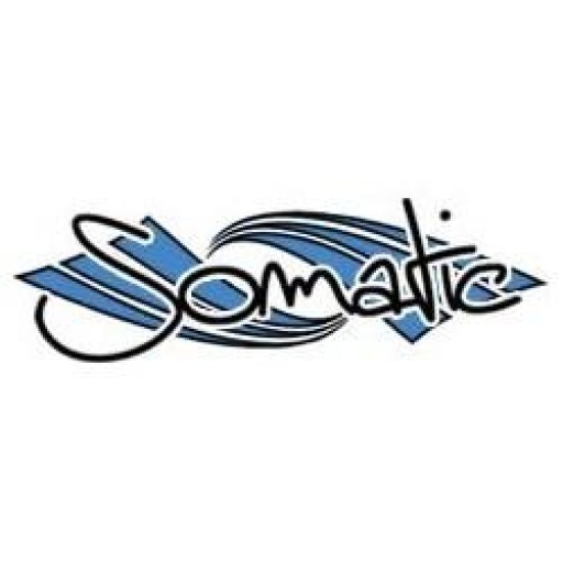 Somatic gravatar