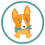 corgibytes gravatar